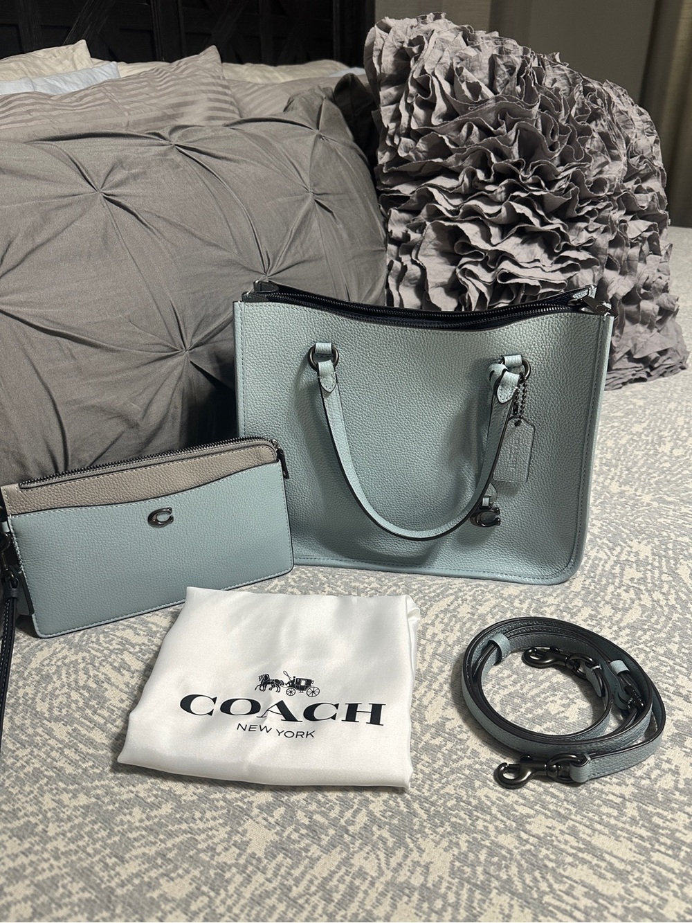 COACH Carter Carryall 28 with matching COACH L-zip colorblock wristlet